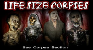 corpse section corpse skulls and life size corpses