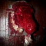 New 2012 Bloody Skinned Goat Head Wall Mount