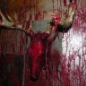 New 2012 Bloody Deer Head Wall Mount