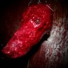 Skinned Puppy Head