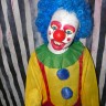 Pokie Clown Kid