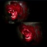 Bloody Skinned Bear Head Wall Mount