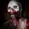 Motor Home Zombie