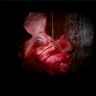 New 2012 Bloody Pig Head