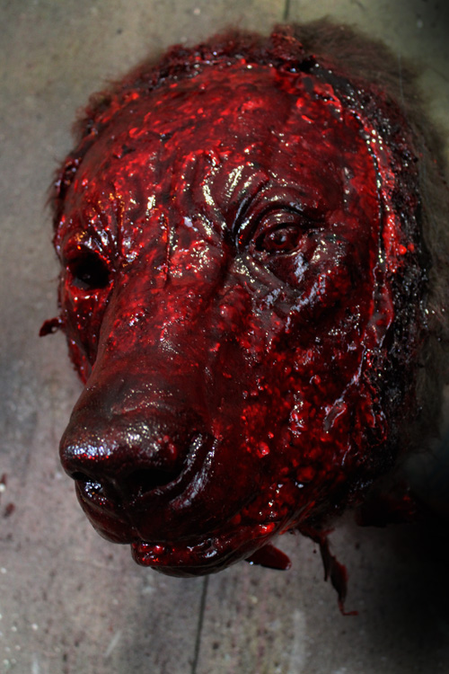 New 2019 Halloween Prop Skinned bloody Grizzly Bear Head