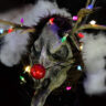 Haunted Christmas Randolph the Dead Nose reindeer Pooled Head prop