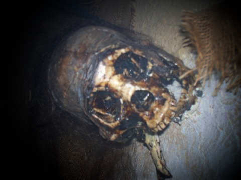 Rotten jaw Braker Corpse Skull