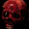 Fleshy Corpse Skull Prop