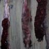 2015 Haunted House props Hanging Cut in Half Body package rotten