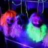 New UV Drips and Rope Clown heads on rope 5 pack